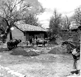 陆良老照片,陆良老照片里的历史记忆